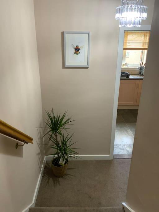 Home From Home, 3 Bedroom House In 霍伊克 外观 照片